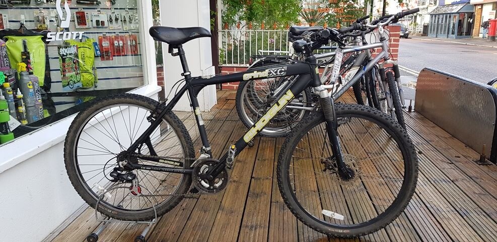 shogun mountain bike